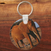 大赤象 キーホルダー (正面)