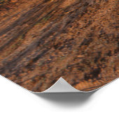 大赤象 ポスター (角)