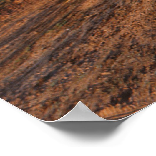 大赤象 ポスター (角)