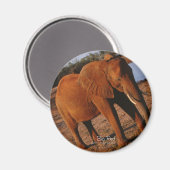 大赤象 マグネット (正面/裏面)