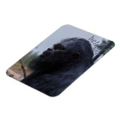 大足サスカッチ マグネット (左側)