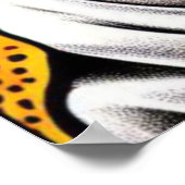 大都会のオポッサム–2 ポスター (角)