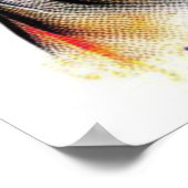 大都市のオポッサム–6 ポスター (角)