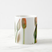 大量の コーヒーマグカップ (中央)