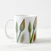 大量の コーヒーマグカップ (左)