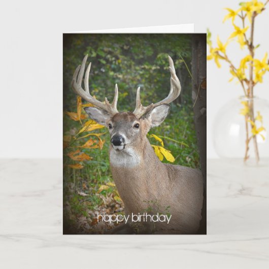 大金の誕生日 カード (黄色い花)