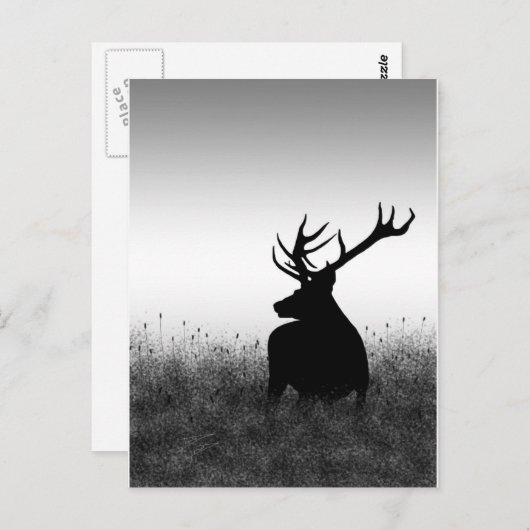 大金 ポストカード (正面/裏面)