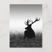 大金 ポストカード (正面)