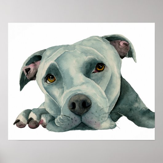 大間抜け | Pit Bull Dog Water Color 絵画's ポスター (正面)