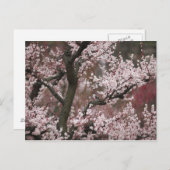 大阪府 ポストカード (正面/裏面)