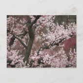 大阪府 ポストカード (正面)