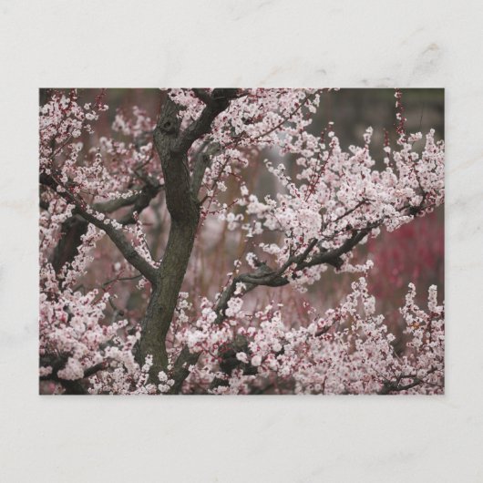 大阪府 ポストカード (正面)