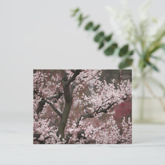 大阪府 ポストカード (スタンド正面)