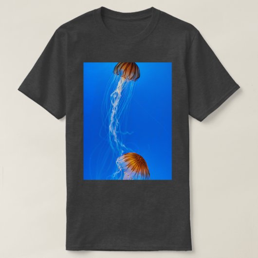 大阪水族館海遊館 Tシャツ (デザイン正面)