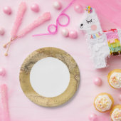 大陸地図 ペーパープレート (パーティー)