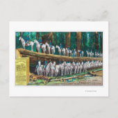 大隊の前と前落ちたに ポストカード (正面)