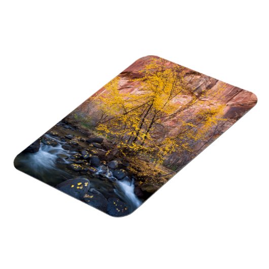 大階段 – エスカランテ国家記念碑 マグネット (左側)