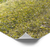 大雄牛が柳の間に立つ ポスター (角)