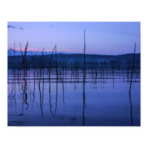 大雨の後の穏やかで霧の多い湖