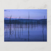 大雨はがき後の穏やかで霧の多い湖 ポストカード (正面)