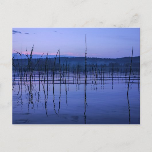 大雨はがき後の穏やかで霧の多い湖 ポストカード (正面)
