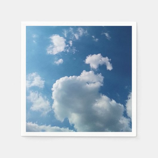 大雲 スタンダードカクテルナプキン (正面)