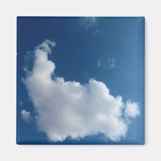 大雲 マグネット (正面)