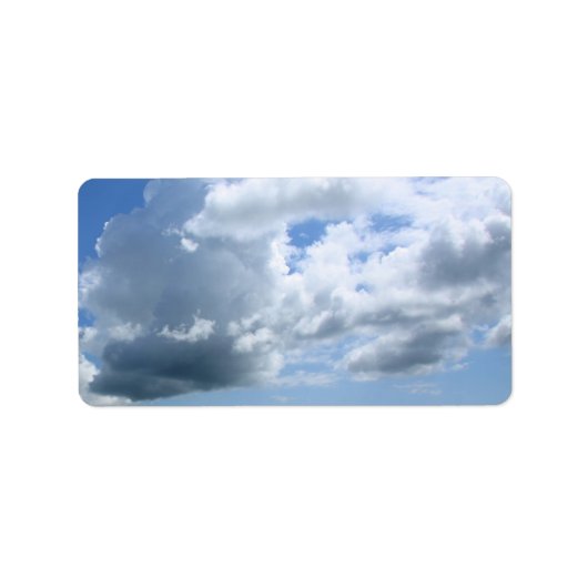 大雲l ラベル (正面)