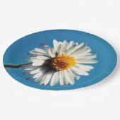 大青空の下の明るい白いデイジー ペーパープレート (アングル)