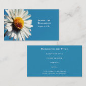 大青空の下の明るい白いデイジー 名刺 (正面/裏面)