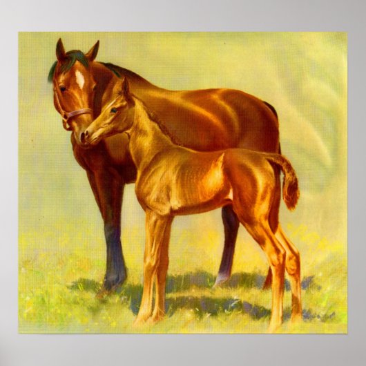 大馬小馬 ポスター (正面)