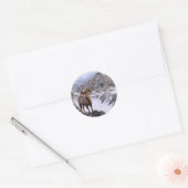 大麦の羊が谷を覗く ラウンドシール (封筒)