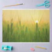 大麦フィールドファームデクページティッシュペーパー 薄葉紙 (クラフト)