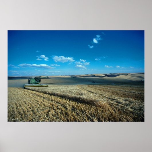 大麦収穫 ポスター (正面)