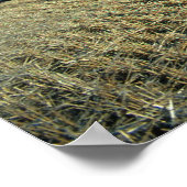 大麦収穫 ポスター (角)