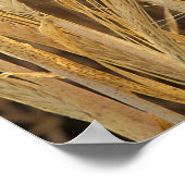 大麦 ポスター (角)