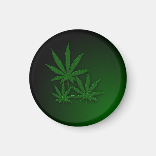 大麻 マグネット (正面)