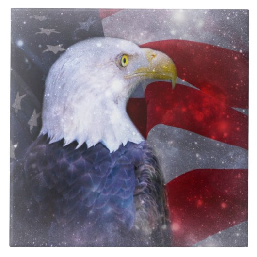 大(6" X 6")セラミック写真タイル タイル (正面)