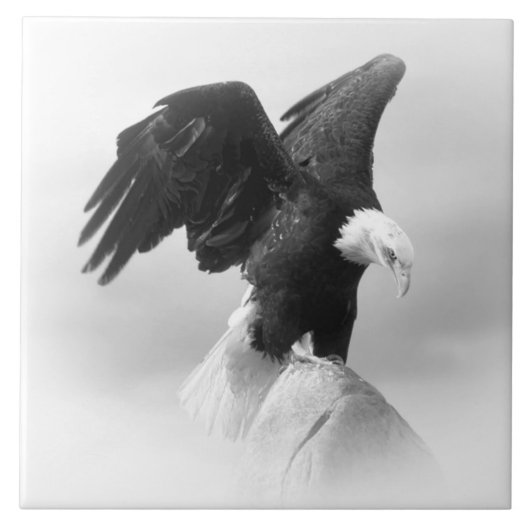 大(6" X 6")セラミック写真タイル タイル (正面)