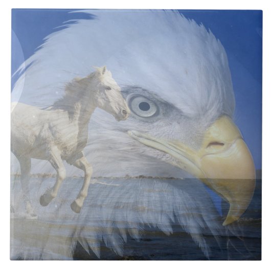 大(6" X 6")セラミック写真タイル タイル (正面)