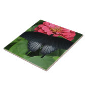 大(6" X 6")セラミック写真タイル/バタフライ タイル (側面)