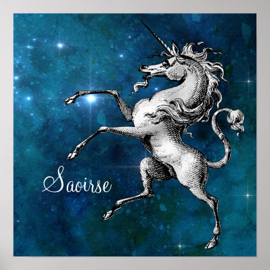 天のユニコーン  ポスター (正面)