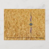 天の収穫 ポストカード (裏面)