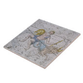 「天の地図書」からのアクエリアスそして山羊座、 タイル (側面)