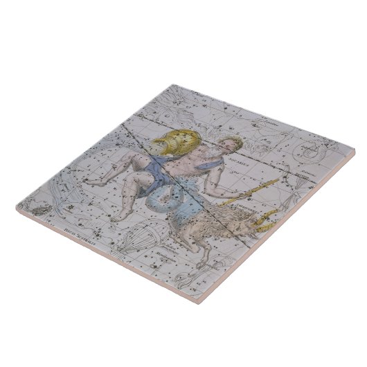 「天の地図書」からのアクエリアスそして山羊座、 タイル (側面)