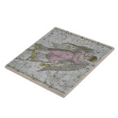 「天の地図書」からの《星座》乙女座、パブ。 1822年に(col タイル (側面)