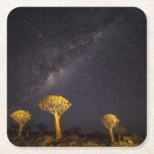 天の川の木 | Keetmanshoop Namibia スクエアペーパーコースター (正面)