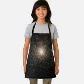 天の川 エプロン (インサイチュ)