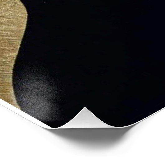 天の抱擁 ポスター (コーナー)