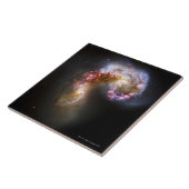 天の目的5 タイル (側面)